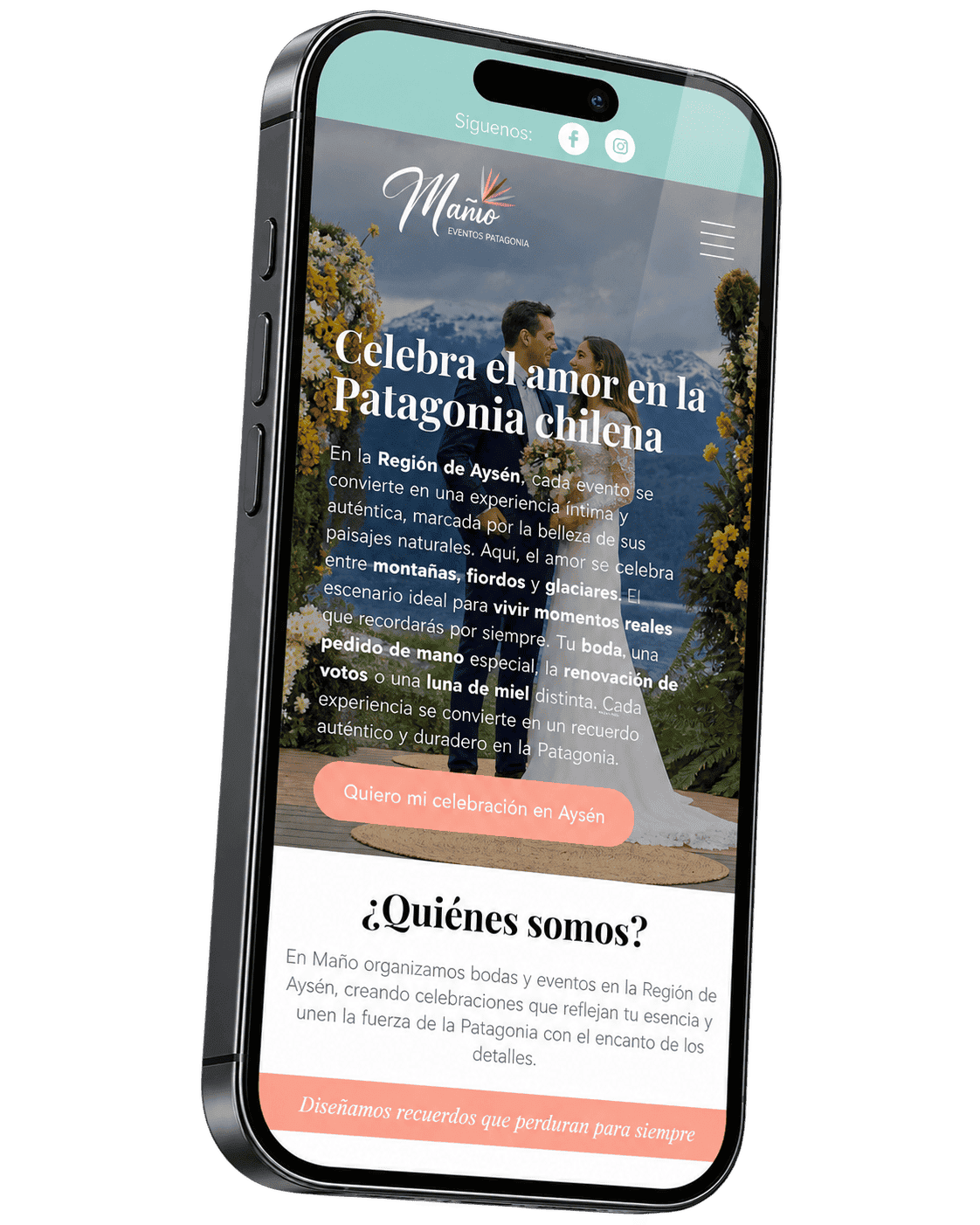 desarrollo de paginas web aysen