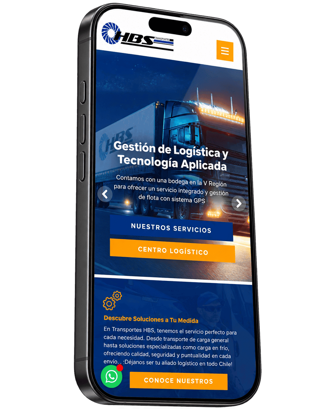 desarrollo de paginas web transporte